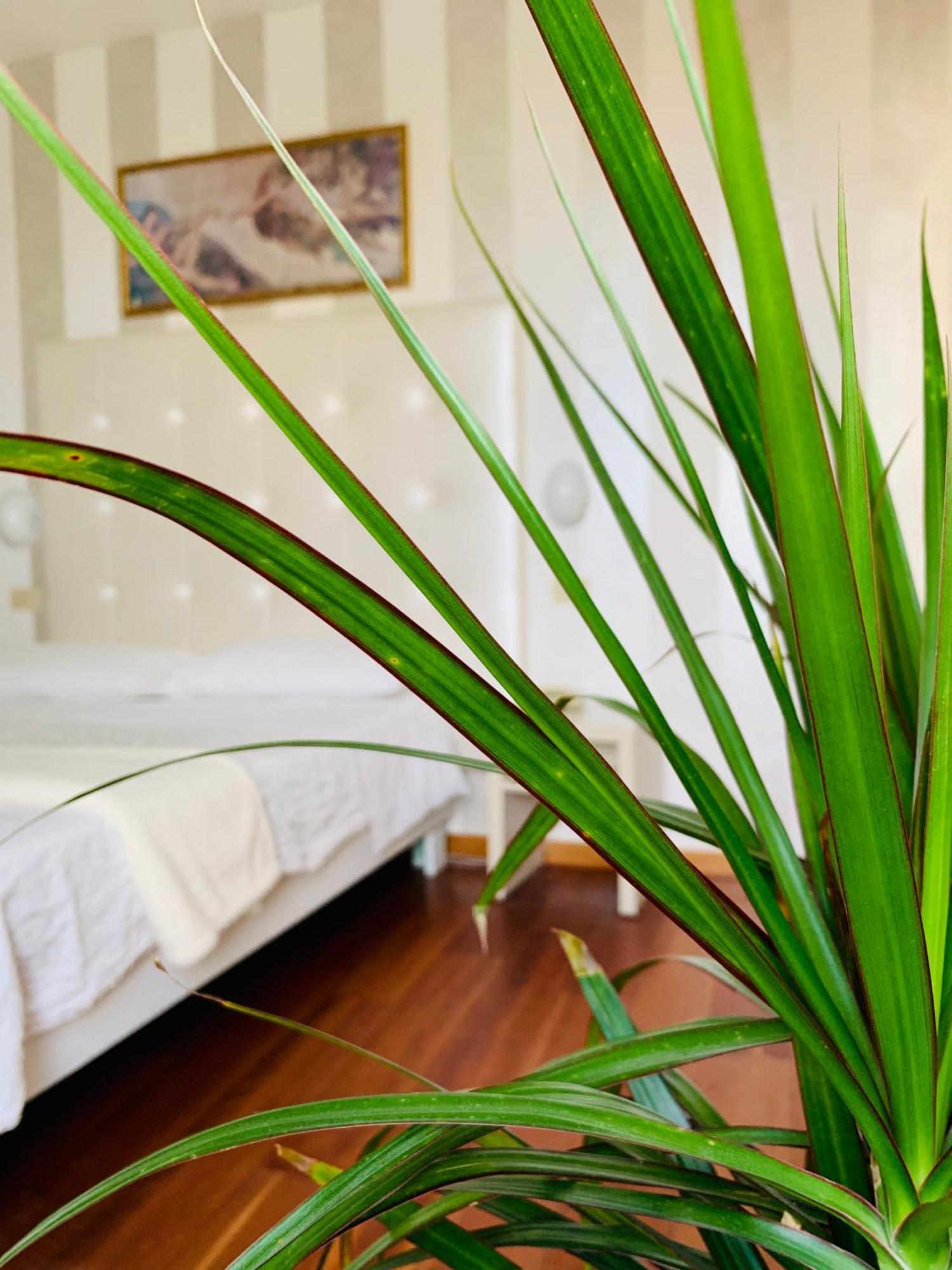 Hotel Baby B&B Milano Marittima Exterior photo